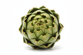 Artichoke Green Large